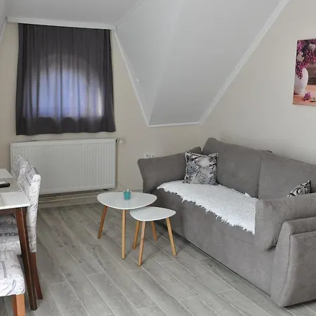 Aria Apartament Vrdnik